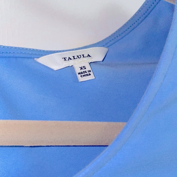 Aritzia Talula Lambeth Pleated Dress (blue xs) - Picture 4 of 5